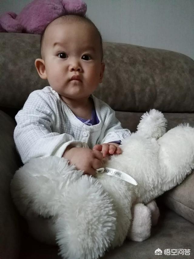 女人与犬交:西安：女子管不住狗叫，放弃饲养主动交狗, 你怎么看？