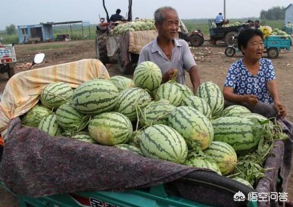 在农村路边卖西瓜的瓜农，为什么不喜欢把西瓜切开来卖呢？