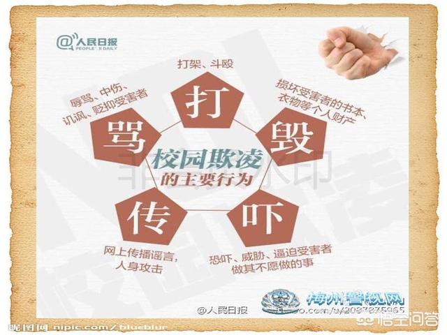 恶霸:饲养美国恶霸犬要注意哪些事情？