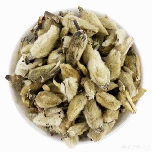 蜂猴药用价值是什么:蜂猴的毒素在哪里 毛猴的药用价值和功效是什么？