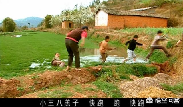 孟凡斌:《士兵突击》王宝强演绎的许三多，是榆木疙瘩吗？