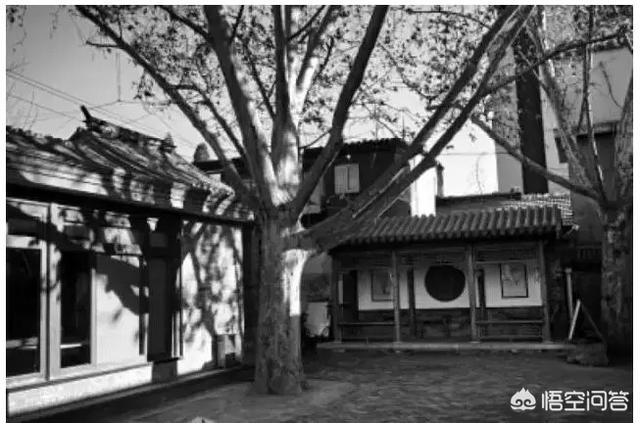 民国才女凌淑华，出身名门望族，为何后来会穷困潦倒？