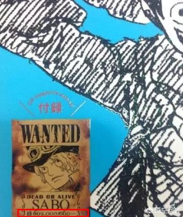 海贼王多拉格是谁:《海贼王》：海迷心中的六大王者，这个你知道吗？