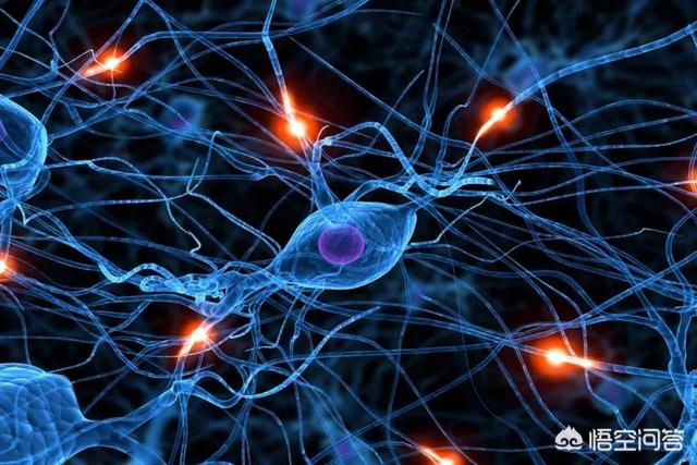 人死亡后精神能量是否转换为暗物质,或者意识变为一种高维生命继续