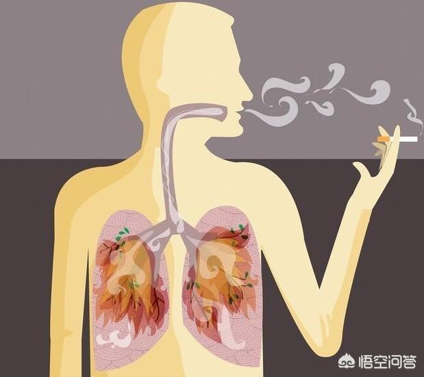 长久吸烟后肺会变黑吗，长期吸烟“肺变黑”，哪些信号出现，要戒烟预防肺癌了？