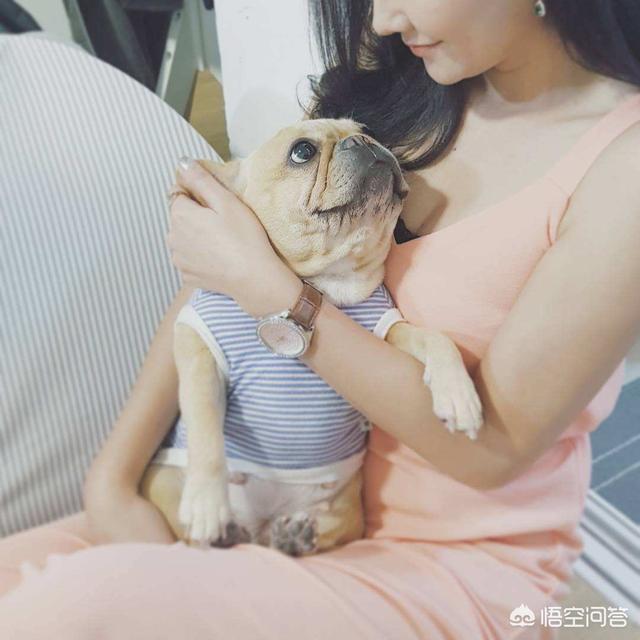 妈妈照顾小奶狗视频:小狗断奶后更依赖主人而不是狗妈妈吗？为什么呢？ 狗妈妈会照顾小狗到多大