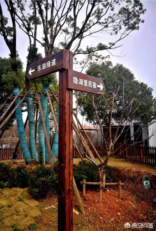 又是一年春来到,百花争艳到黄昏,你愿意用一段话,一组图片来形容你家乡的美吗？