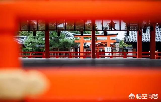 琴仙的小宠物饲养日记acg:第一次去日本自由行，需要如何做准备？