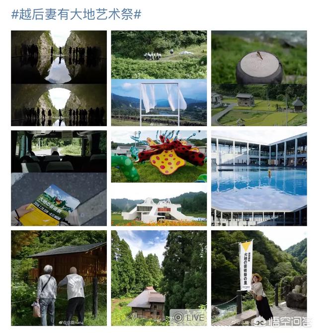 琴仙的小宠物饲养日记acg:第一次去日本自由行，需要如何做准备？