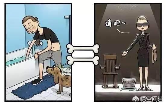 改变世界的犬类 mkv:狗狗的眼睛里看到的世界是什么样的？