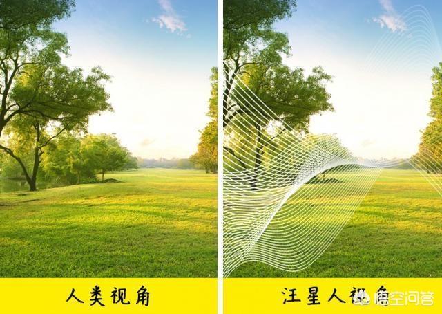 改变世界的犬类 mkv:狗狗的眼睛里看到的世界是什么样的？