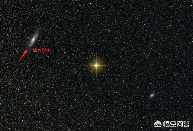 豆柴小犬免费观看完整版:明太祖朱元璋有没有兴过“文字狱”文字狱，都有谁被杀？ 豆柴小犬电影国语
