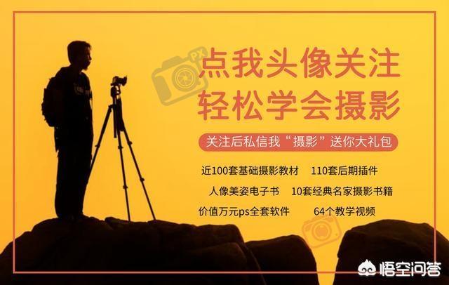 拍摄鸟类有什么技巧？