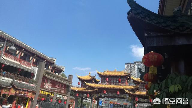 带宠物鸭扫大街萌翻网友:为什么摄影师都喜欢往四川跑？