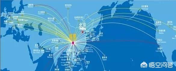 带宠物鸭扫大街萌翻网友:为什么摄影师都喜欢往四川跑？