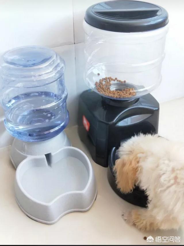 优爵宠物食品好不好:给狗吃生鸡架好吗？生鸡架可以让狗更壮吗？