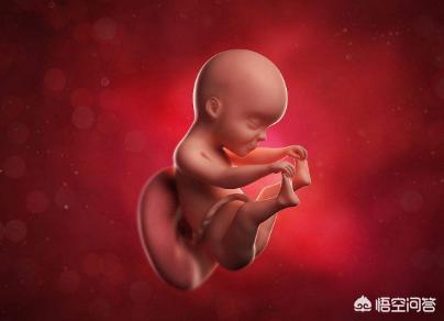 头条问答 - 怀孕25周,宝宝是什么样子的?(26个回答)