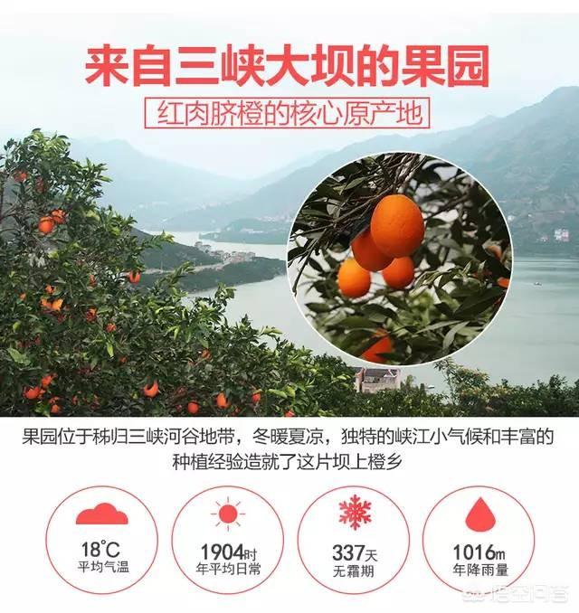 柑橘的种类很多，都有什么呢桔子的种类？
桔子的种类？