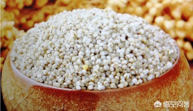 黑小米的功效与作用，黑小米的营养价值如何？经常用黑小米煮粥好吗？