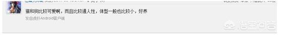 吸猫毒是什么情况:现在为什么会有这么多年轻人