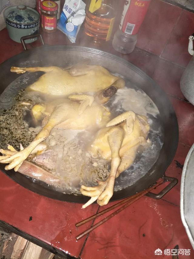 广州钟雨菲补肾，广州餐饮加盟简单吗？怎样才能开土窑鸡研究所？