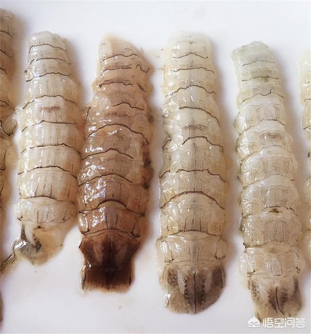 皮皮虾的正确打开方式有哪些，新鲜的皮皮虾买回来该如何烹制