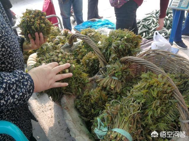 周公解梦梦见竹笋是什么意思,在农村，如何做无成本生意？