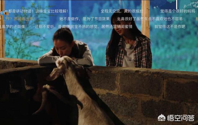 赵本山打冯小刚:哪些明星在娱乐节目中制造的“车祸现场”，让你觉得惨不忍睹？