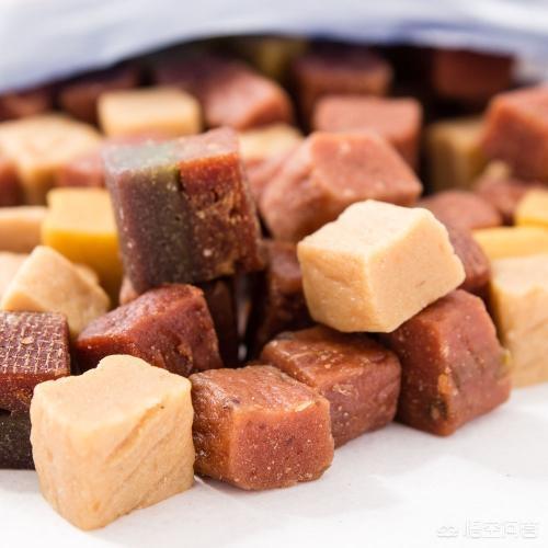 宠物牵引带:给三个月博美用牵引绳它就咬绳，怎么办？