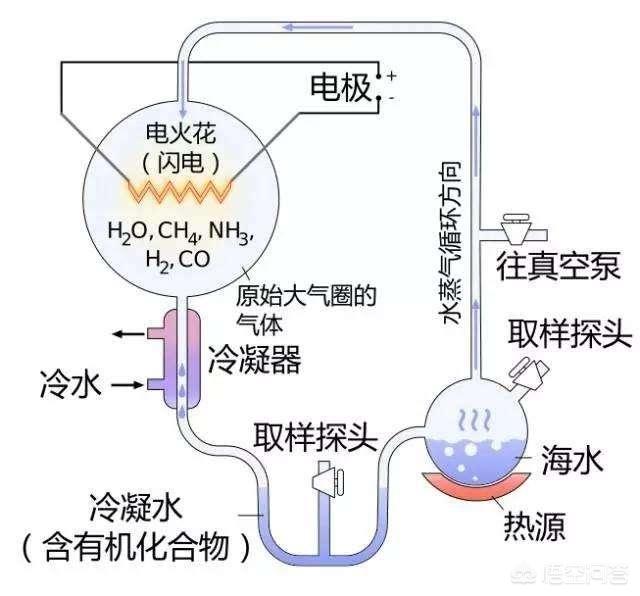 翻车鲀鱼一次产约3亿卵子:翻车鱼真的是产卵最多而且还会自杀的动物吗？
