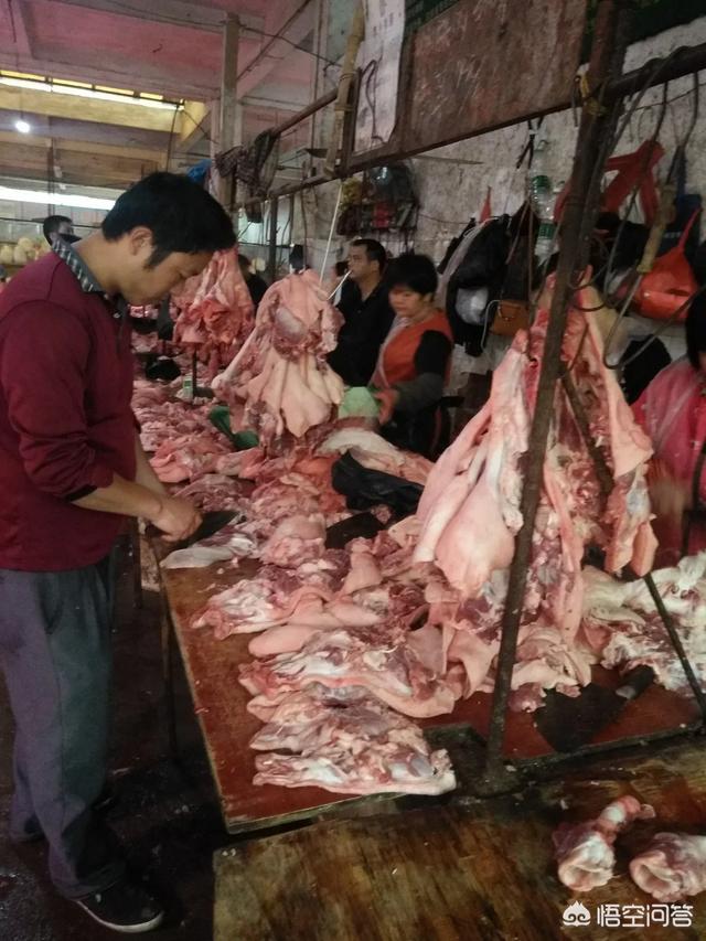 温氏死猪肉:有猪瘟，食猪肉都怕，食病猪肉对身体有害吗？