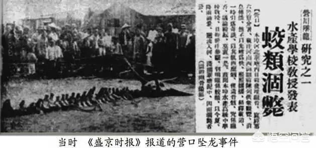 以色列美人鱼真假:日本瑞龙寺真龙标本为什么不用DNA鉴定来验证标本的真假