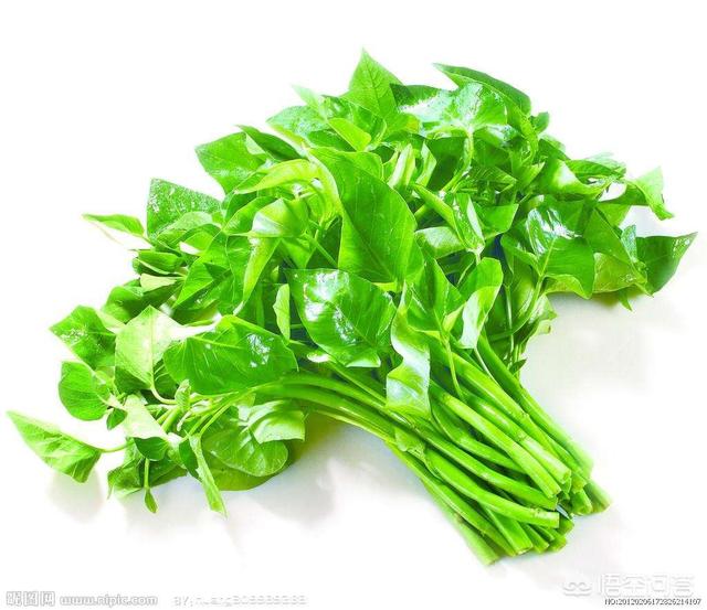 头条问答 - 水上种植空心菜的利弊有哪些,水上空心菜真的好吗?