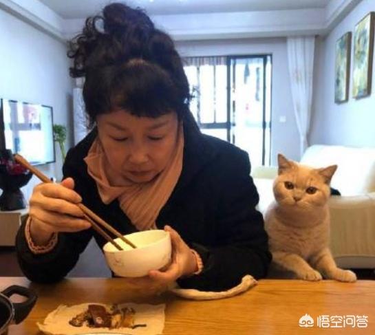 留守宠物寄养一笼难求:一个箱蜂里关几个用王笼关着的蜂王可以吗？