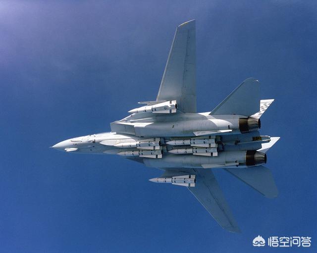 朱茵家的藏獒价值1200万:抖音国宝真的赚了六亿九千万吗？