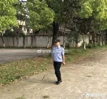 网上再现虐狗事件:如果发现别人虐狗，我们能做什么去帮助狗狗？
