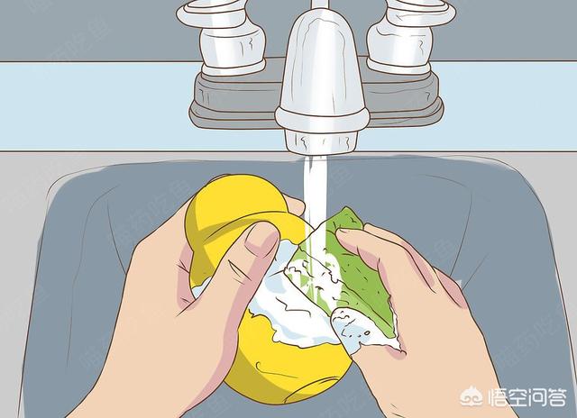 北非沙鼠要多大的笼子:家里养宠物，如何净化空气？