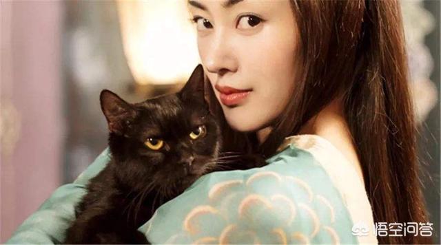 愤怒的猫咪下载:武则天为何怕猫？慈禧为何忌讳羊？ 猫咪愤怒的声音