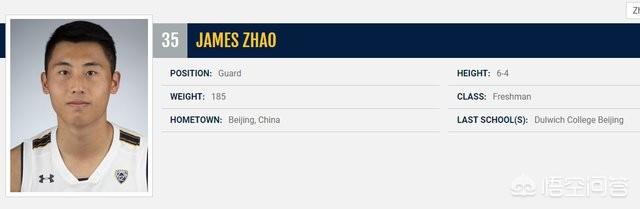 张镇麟入选中国男篮世界杯集训名单，你认为是自身实力，还是因为母亲王芳的关系呢？