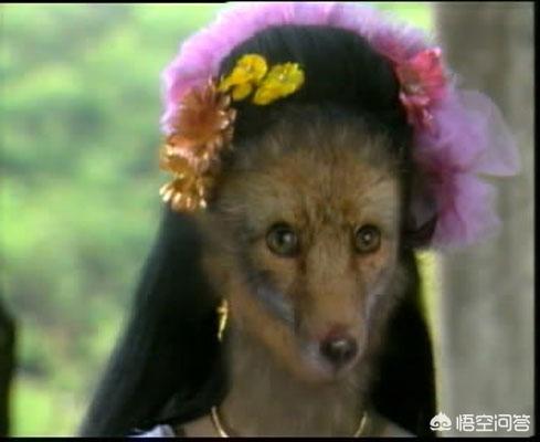 释小龙主演的电视剧:有哪些当年很火的电视剧，现在鲜有人提起