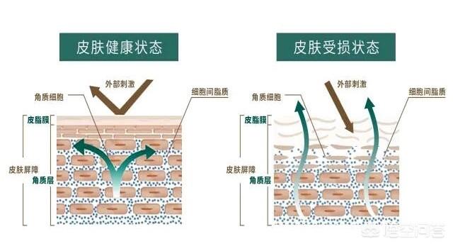 老年人怎样增强皮肤抵抗力:50岁以上的老年人身体抵抗力差，怎么养生才好？