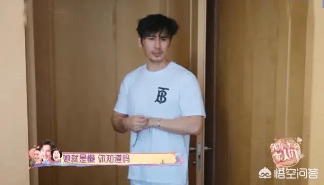 张伦硕的婚史:你觉得像钟丽缇与张伦硕这样女大男小的婚姻，结果会怎么样？