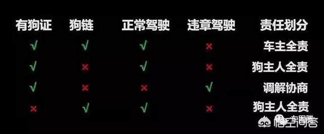 撞死金毛狗狗图片:在小区内开车撞死了宠物怎么办？