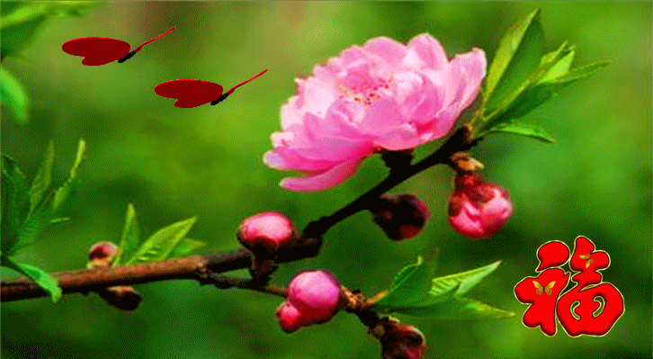 娱乐校花老公是谁:曾经的校花，班花都嫁给了什么样的人？
