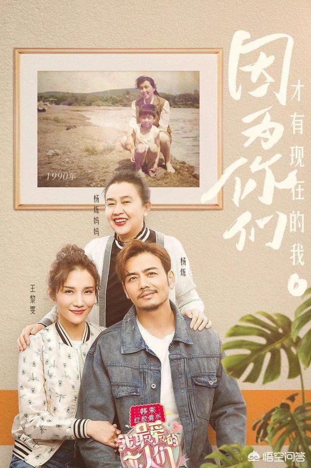 杨烁妻子王黎雯:你觉得芒果台最近热播的综艺《我最爱的女人们》怎么样