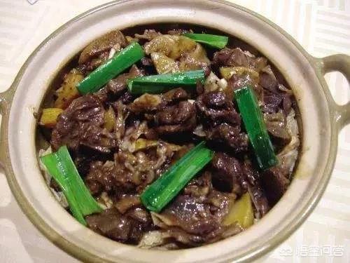疯狂大闷锅:广东焖鹅的正宗做法是什么怎样焖