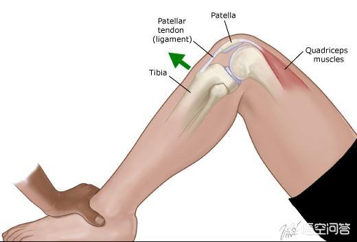 髌骨脱位韧带重建手术后锻炼:髌骨脱位韧带重建术后康复训练 膝关节后交叉韧带重建手术后如何进行康复训练？