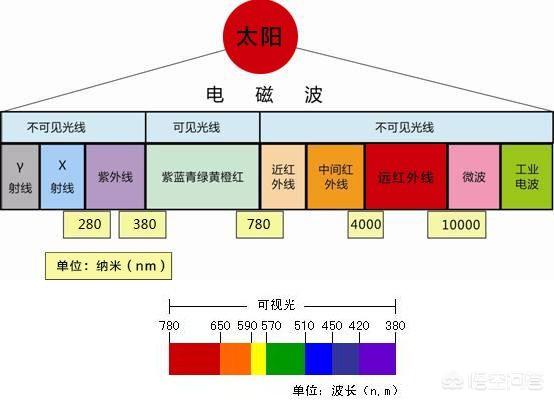 彩光祛痘(彩光祛痘和点阵激光)