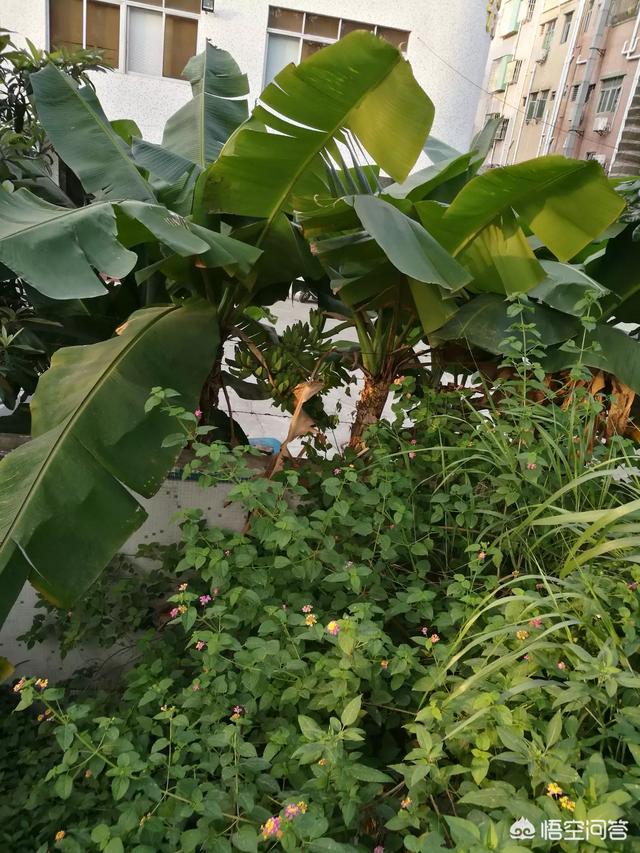 如何潮吹:踏遍万水千山，走遍海角天涯。这是不是人间最幸福的事情？