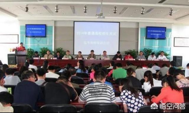 大学校园出现一只监考猫:校园内是否可以养“宠物”？你怎么看？